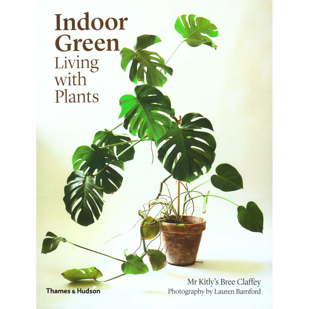 Indoor Green Living with Plants