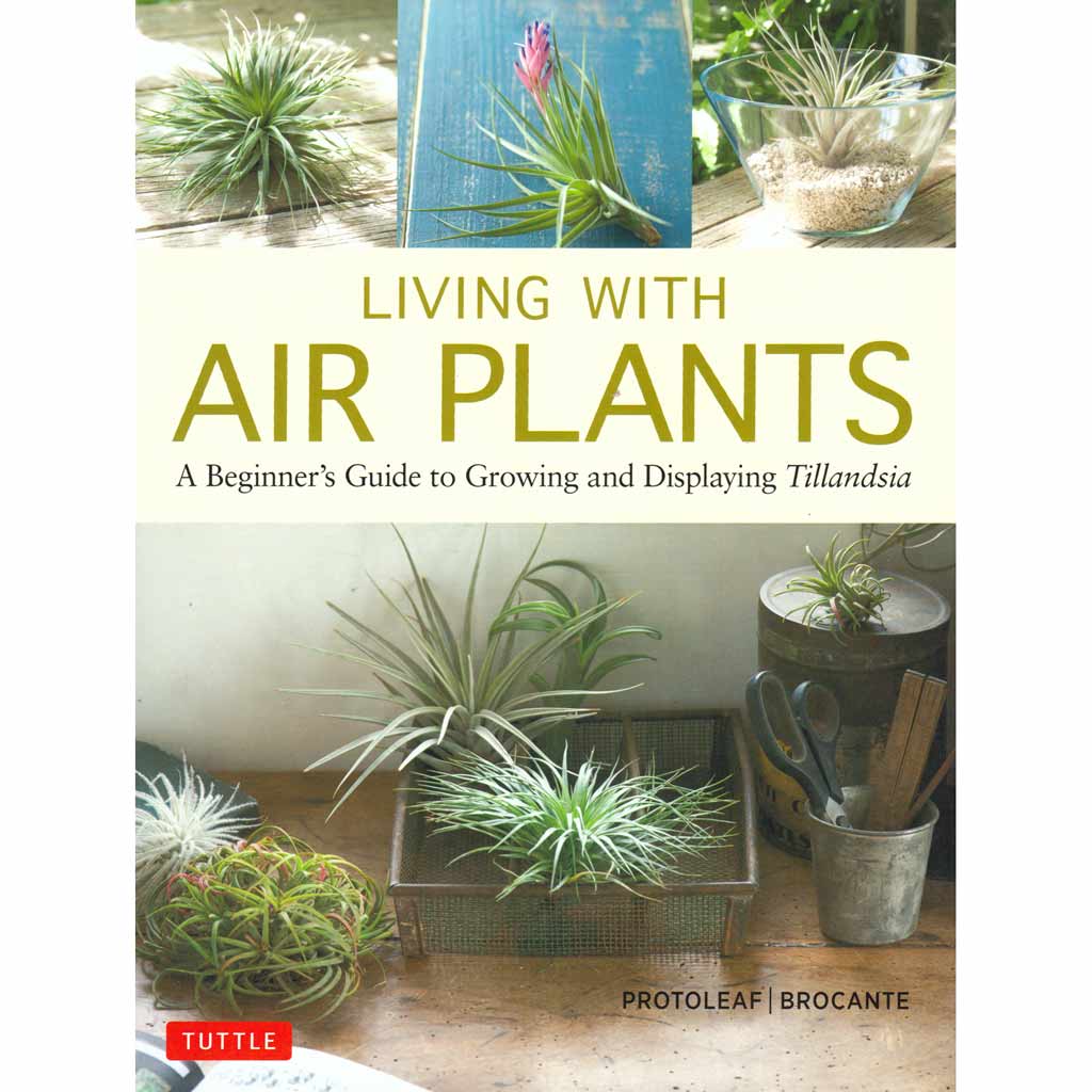 Living with Air Plants