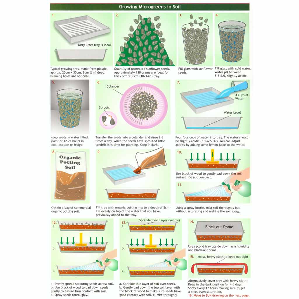 Microgreens Growing Guide