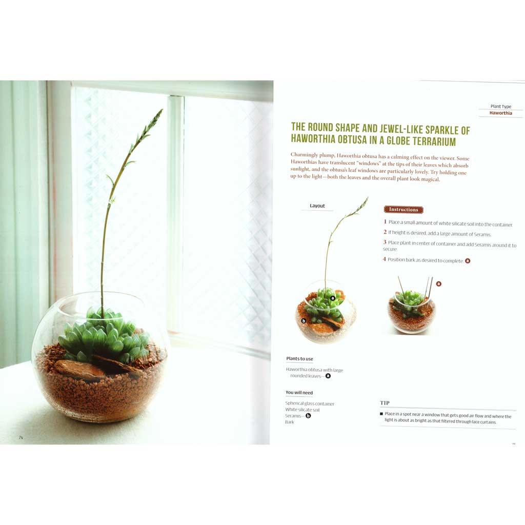 Miniature Terrariums