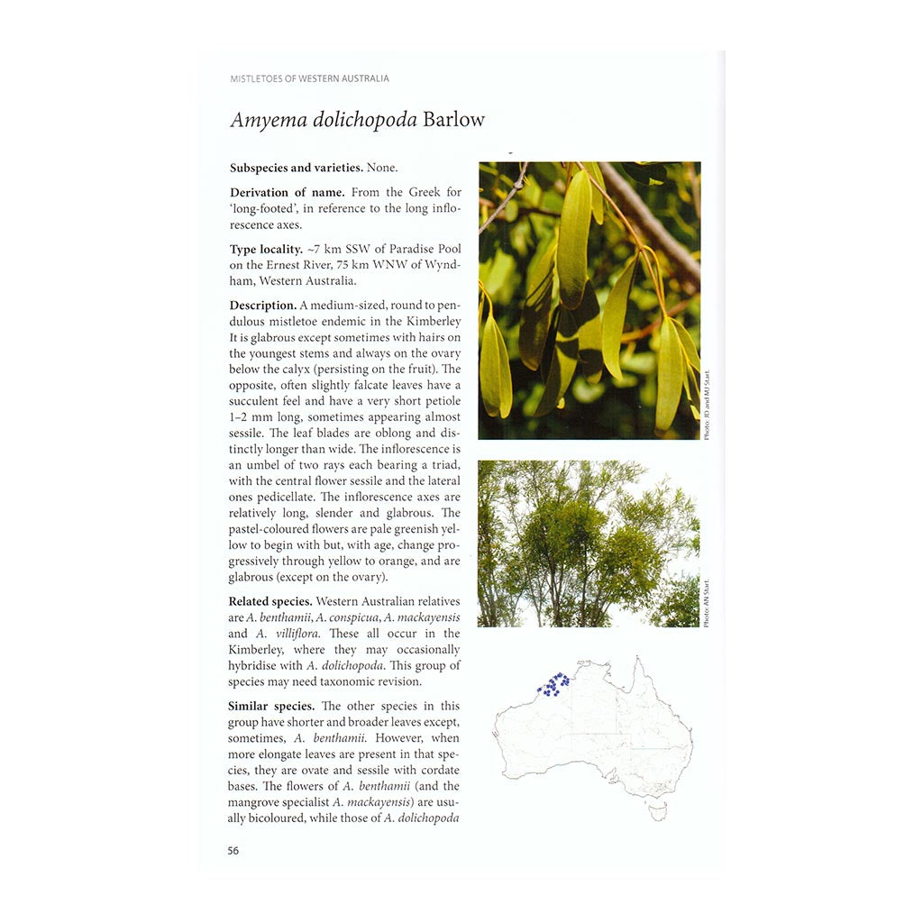 Mistletoes of Western Australia