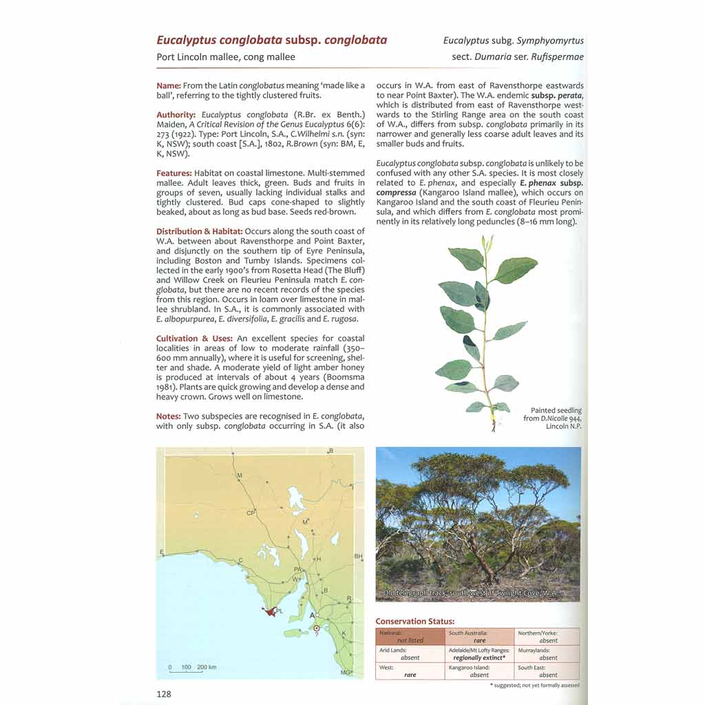 Native Eucalypts of South Australia