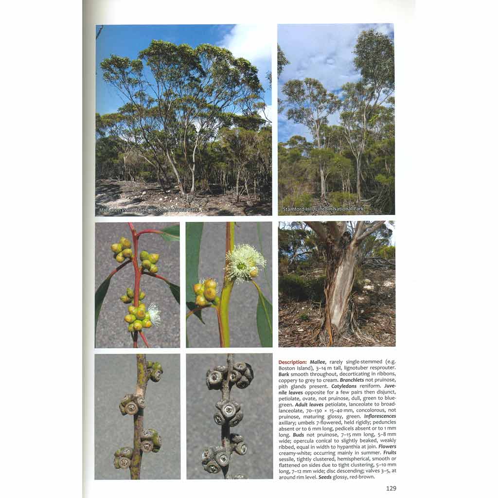 Native Eucalypts of South Australia