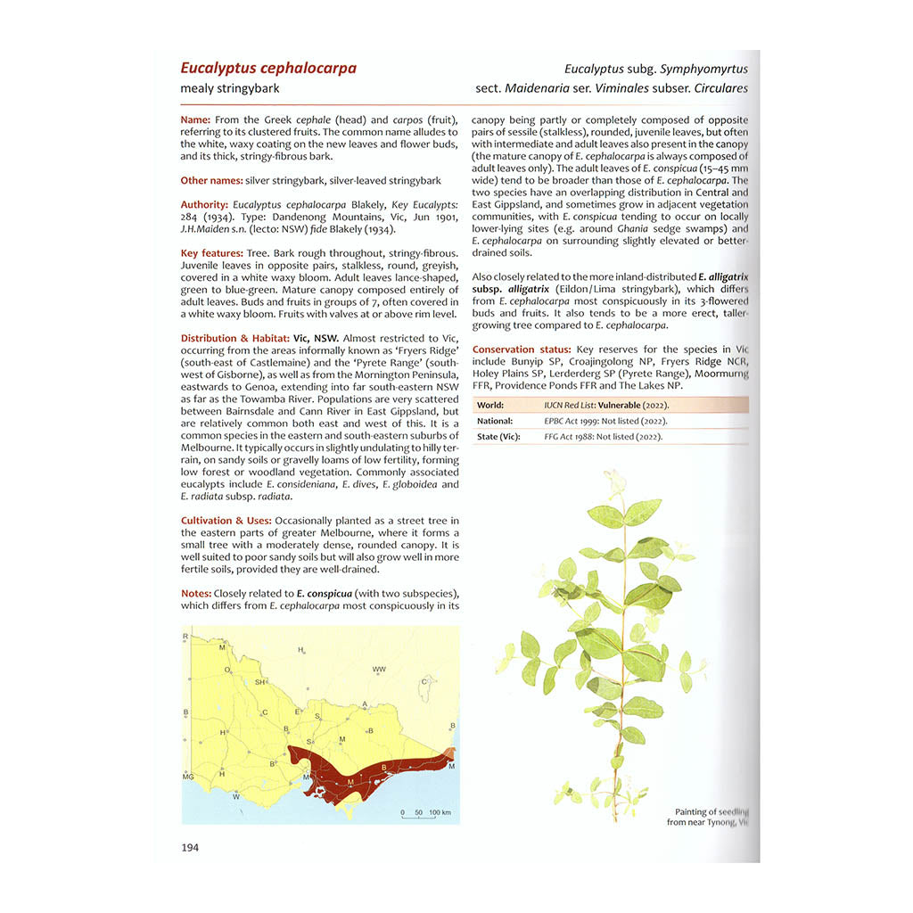 Native Eucalypts of Victoria &amp; Tasmania
