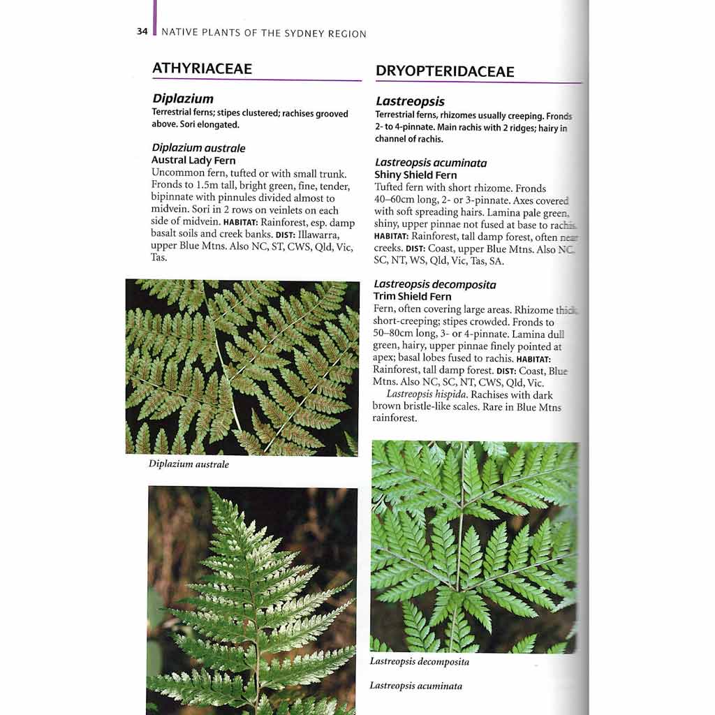Native Plants of the Sydney Region