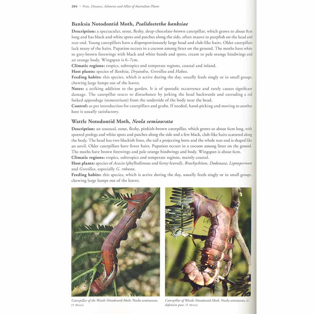 Pests Diseases &amp; Ailments of Aust Plants