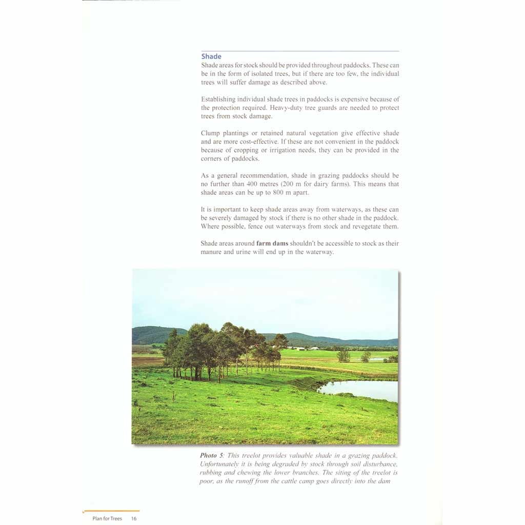 Plan for Trees