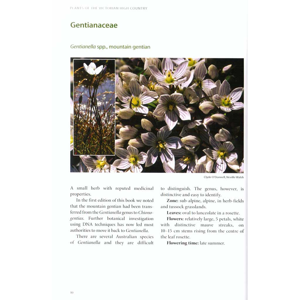 Plants of the Victorian High Country