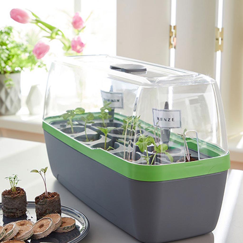 BoQube Style Propagators