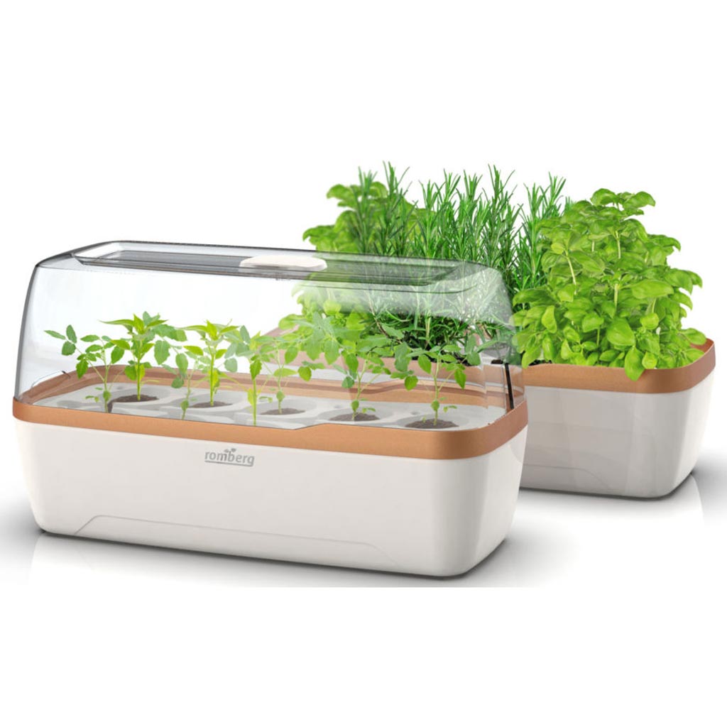 BoQube Style Propagators