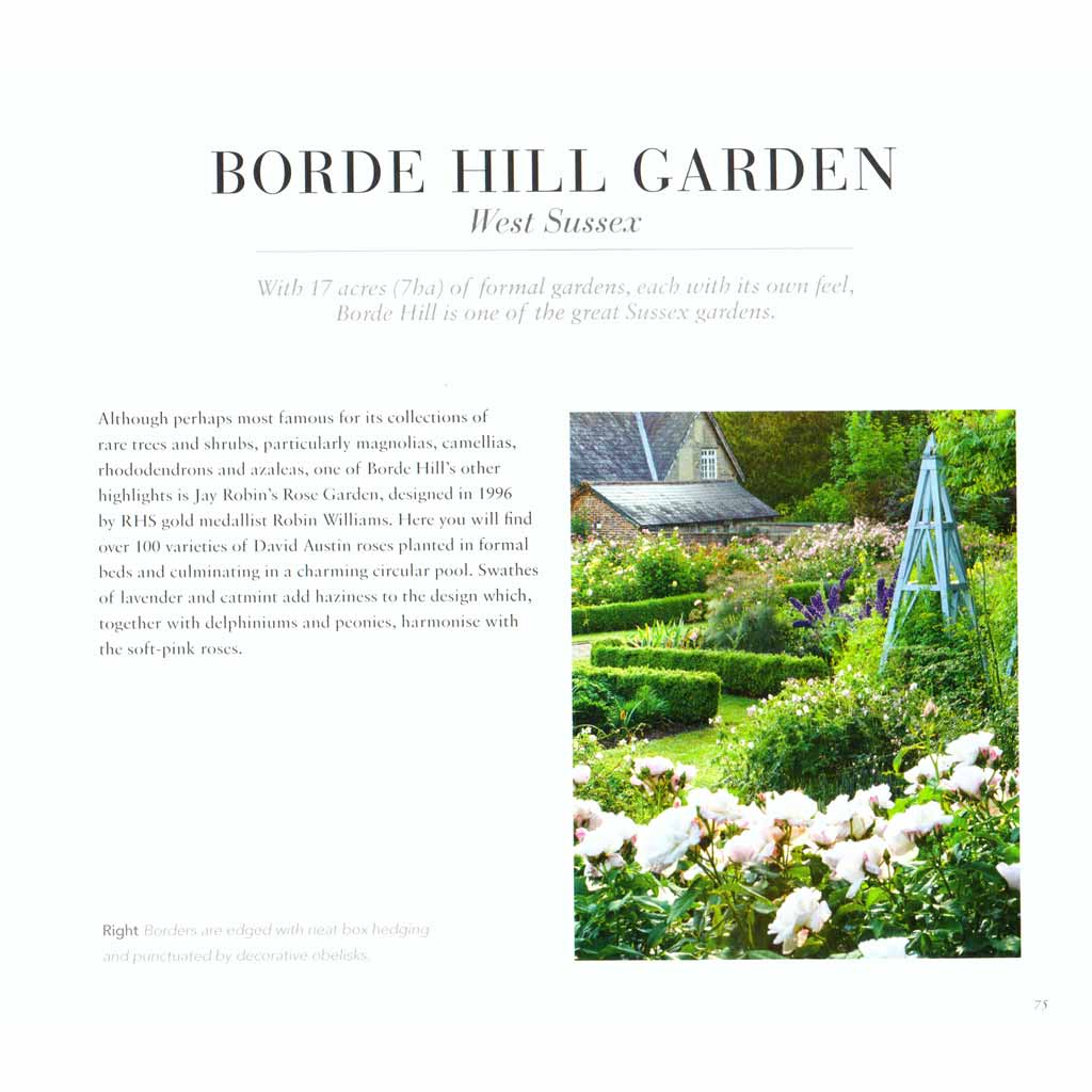 Roses and Rose Gardens