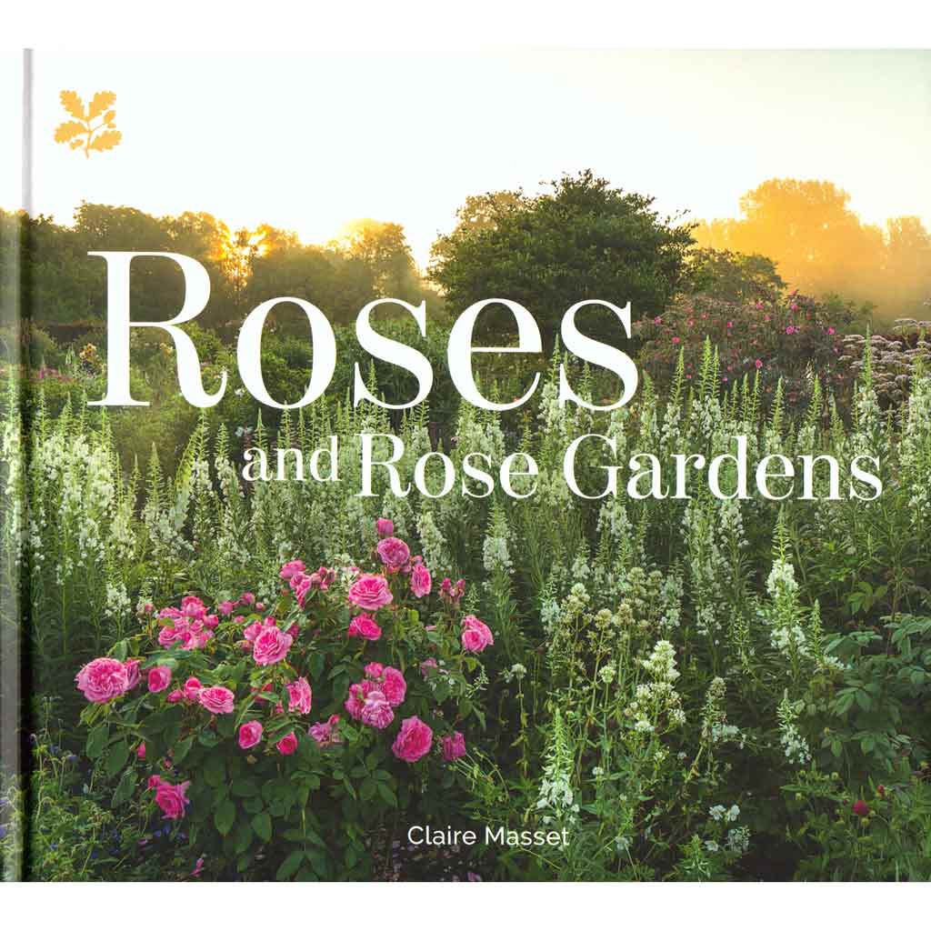 Roses and Rose Gardens