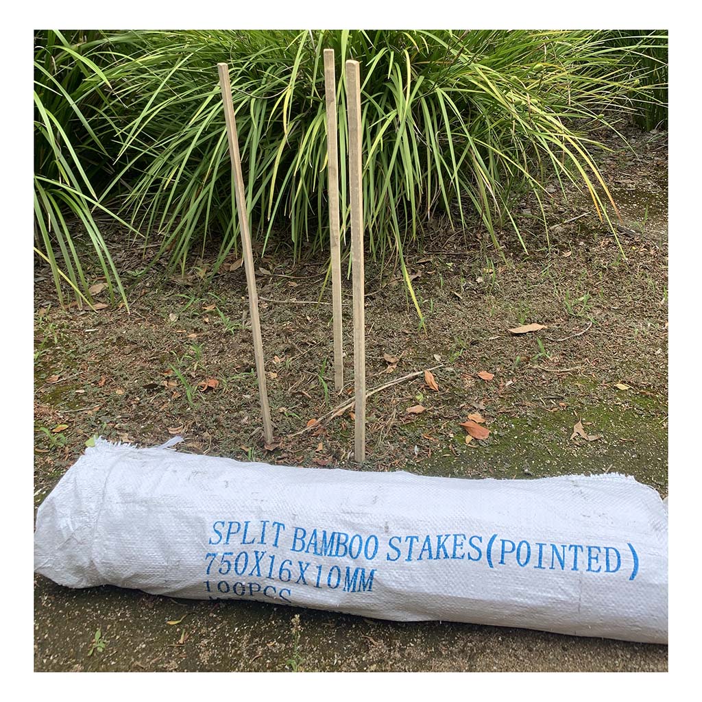 Solid Bamboo Stakes - 750x20x10mm (100PK)