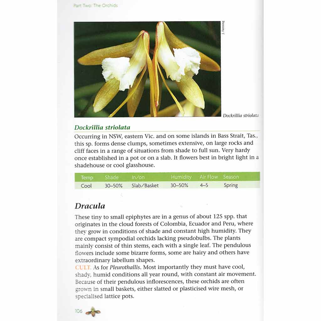 Starting Out with Orchids