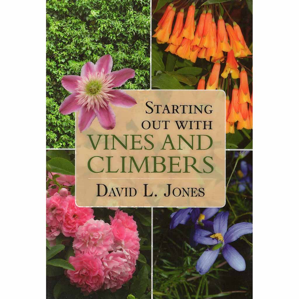 Starting Out with Vines &amp; Climbers