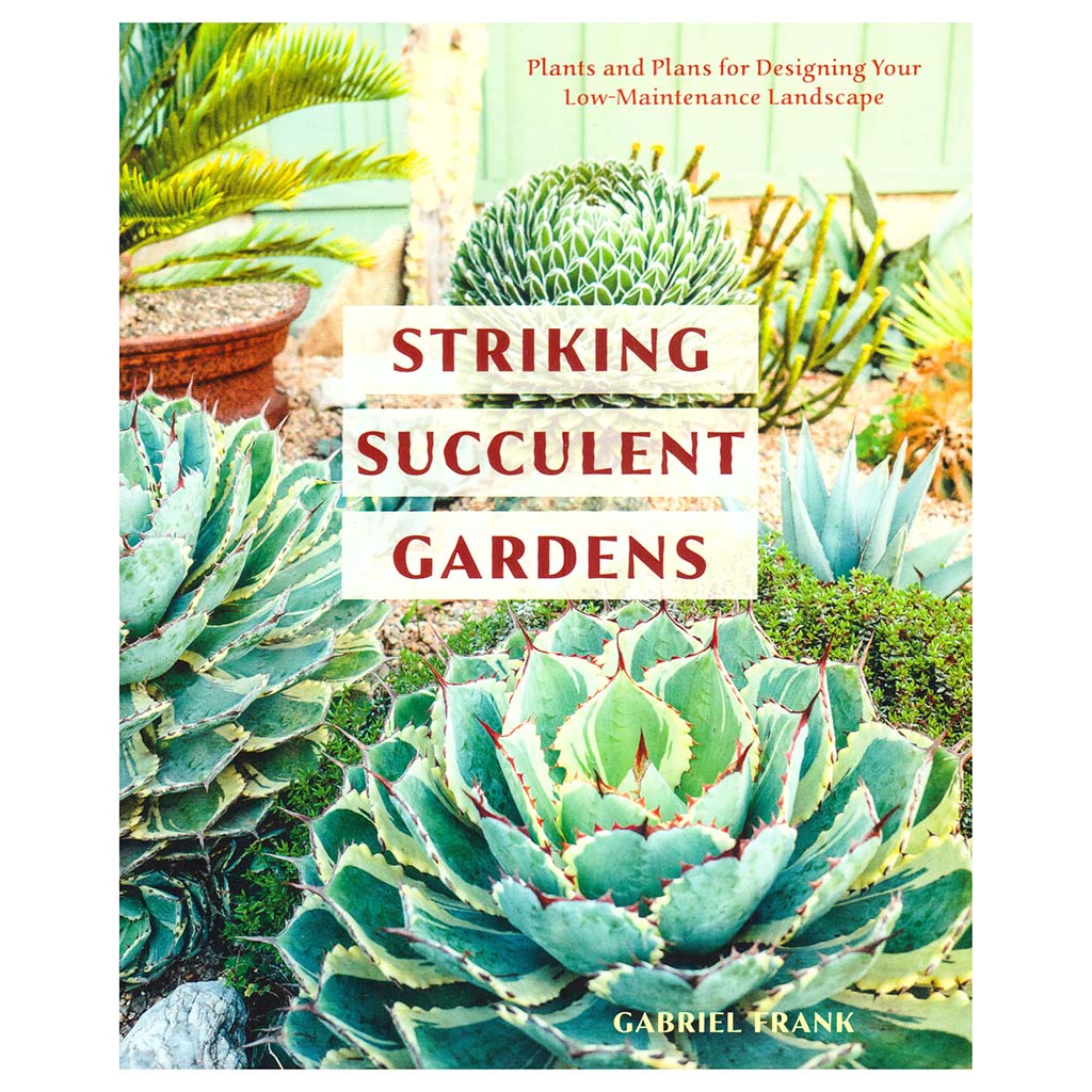 Striking Succulent Gardens
