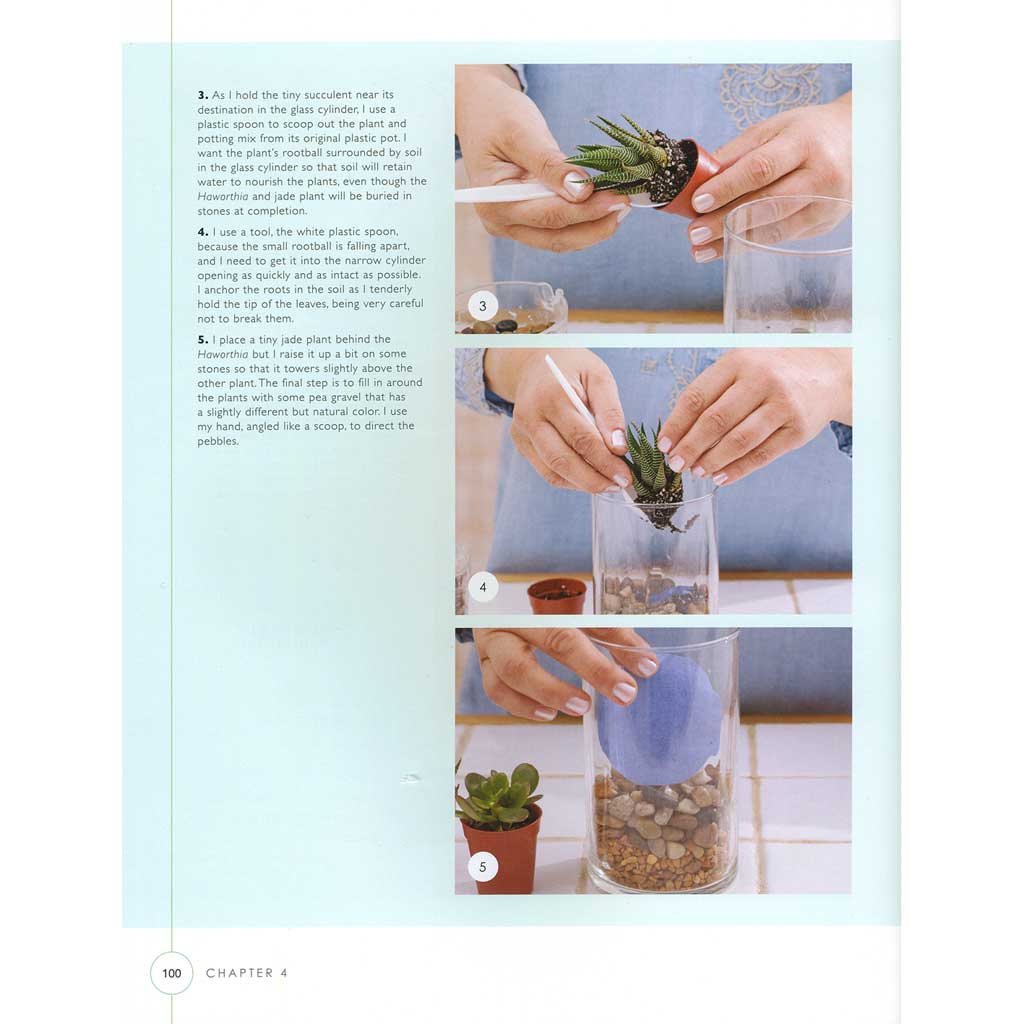 Terrariums - Gardens Under Glass
