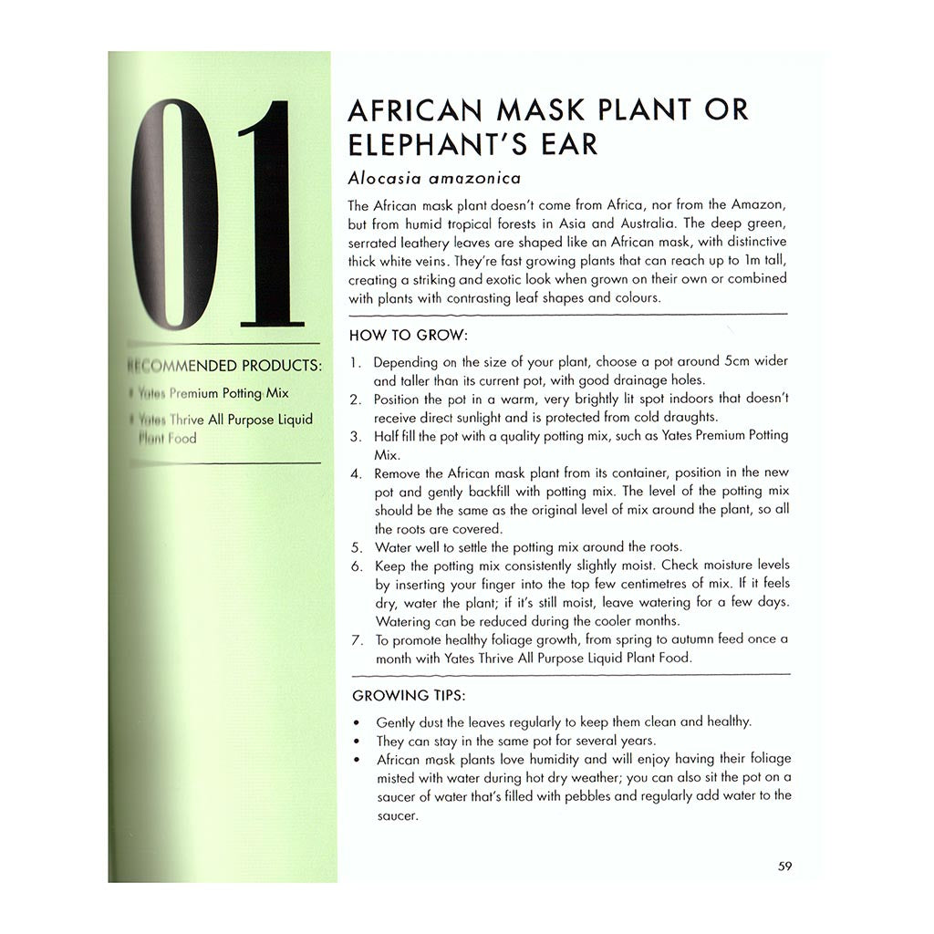 yates top 50 indoor plants Top 50 Indoor Plants and How Not to Kill Them