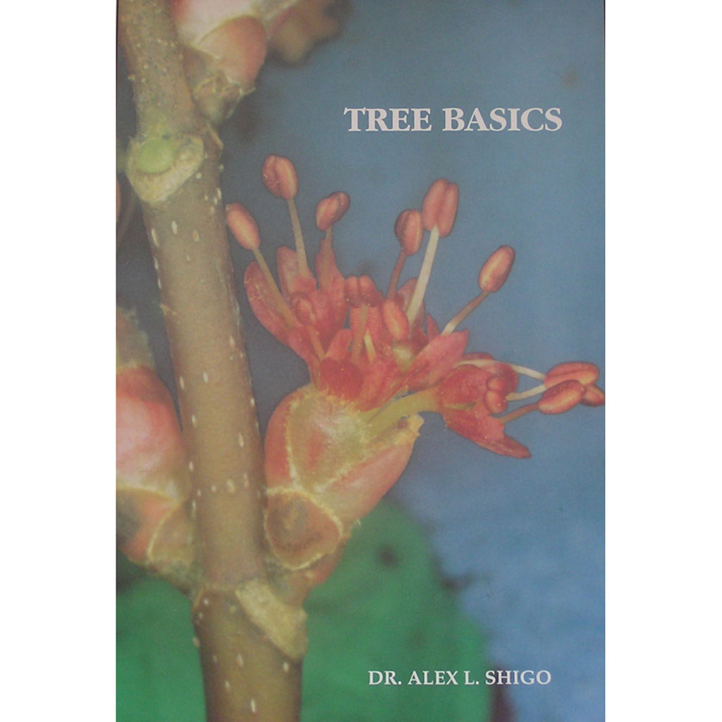 Tree Basics