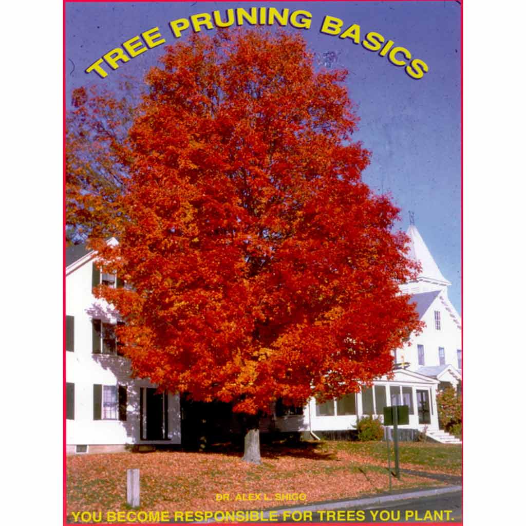 Tree Pruning Basics