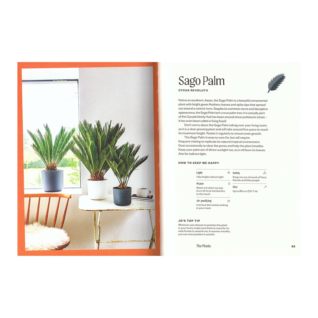 Unkillables - 40 Resilient Houseplants