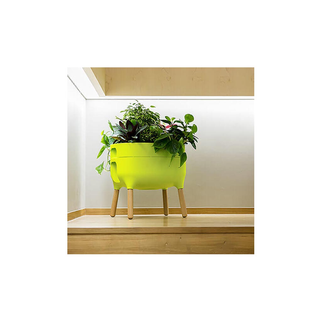 Urbalive Low Planters