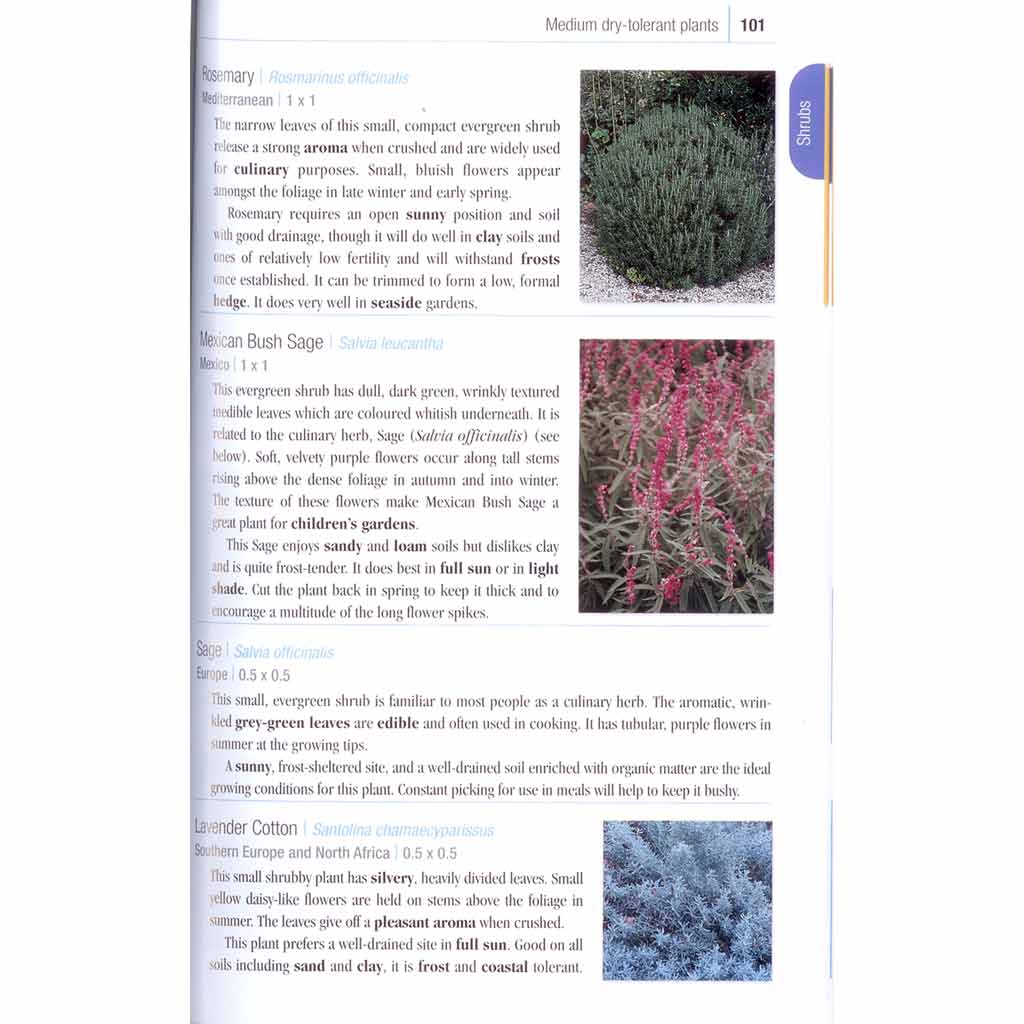 Waterwise Australian Native Garden