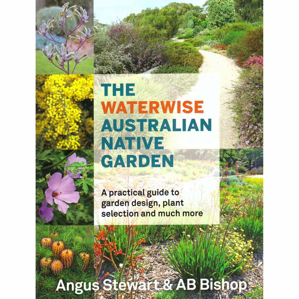 Waterwise Australian Native Garden