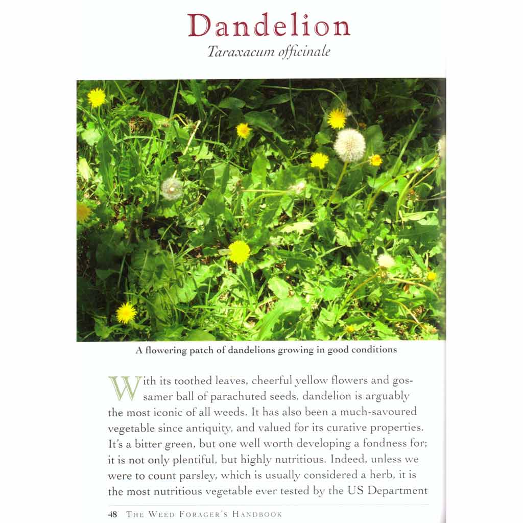 Weed Forager&#39;s Handbook